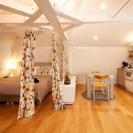Loft De Gamme Design Avec Climatisation * Eymet