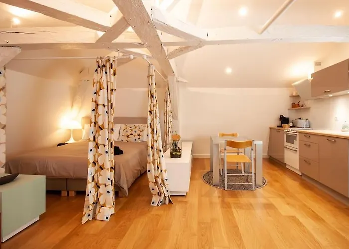 Loft De Gamme Design Avec Climatisation * Eymet